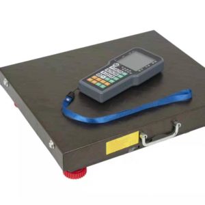 Balanza 600 kg Inalambrica Visor tipo paleta.